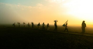 Eko torby bawełniane – dlaczego to dobry wybór?